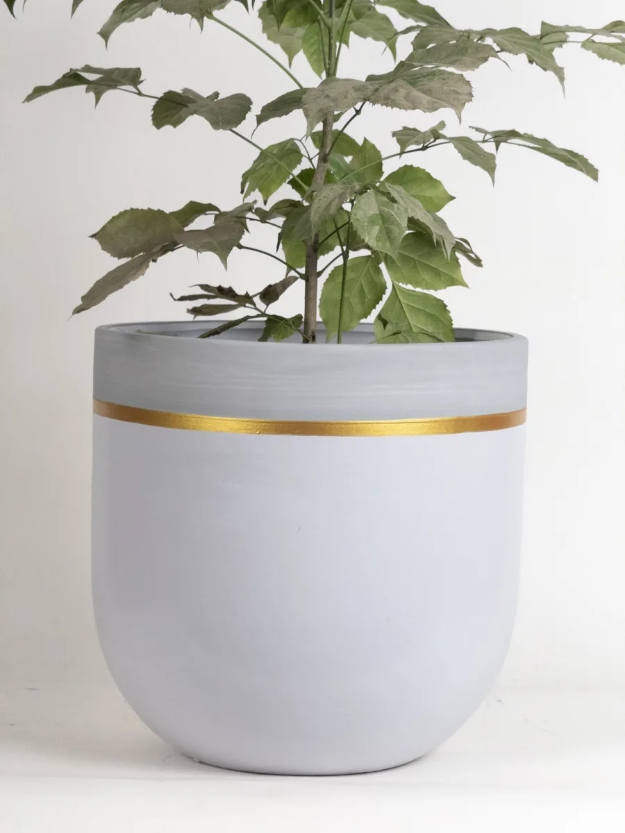 Classic Ceramic Planter — 3.5" Dia × 3" Height — Primary View