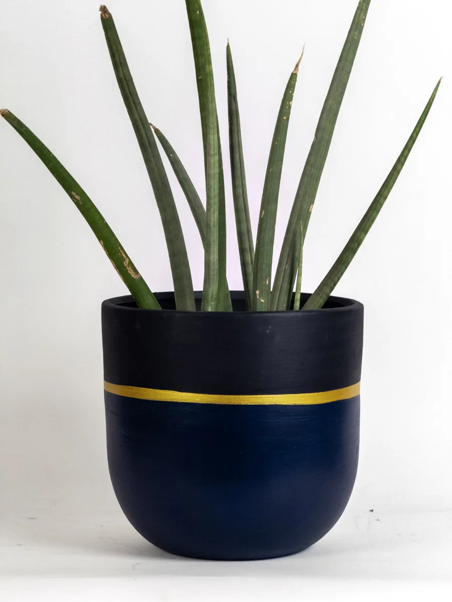 Classic Ceramic Planter — 3.5" Dia × 3" Height — Primary View