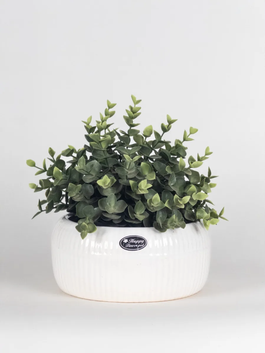 Classic Ceramic Planter — 8" Dia × 8" Height — Primary View