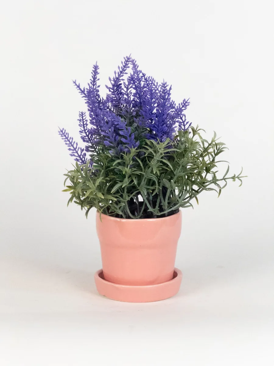 Classic Ceramic Planter — 10" Dia × 10.5" Height — Primary View