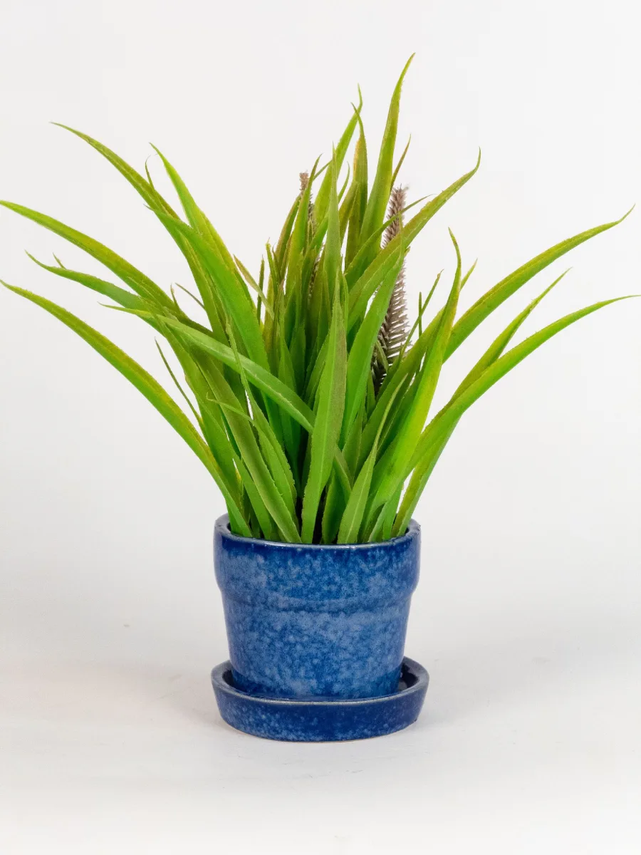 Classic Ceramic Planter — 12" Dia × 12" Height — Primary View