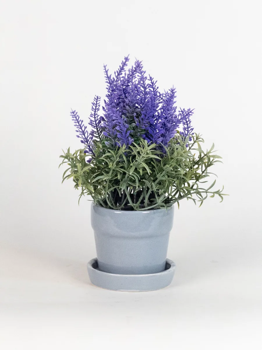 Classic Ceramic Planter — 5" Dia × 4" Height — Primary View