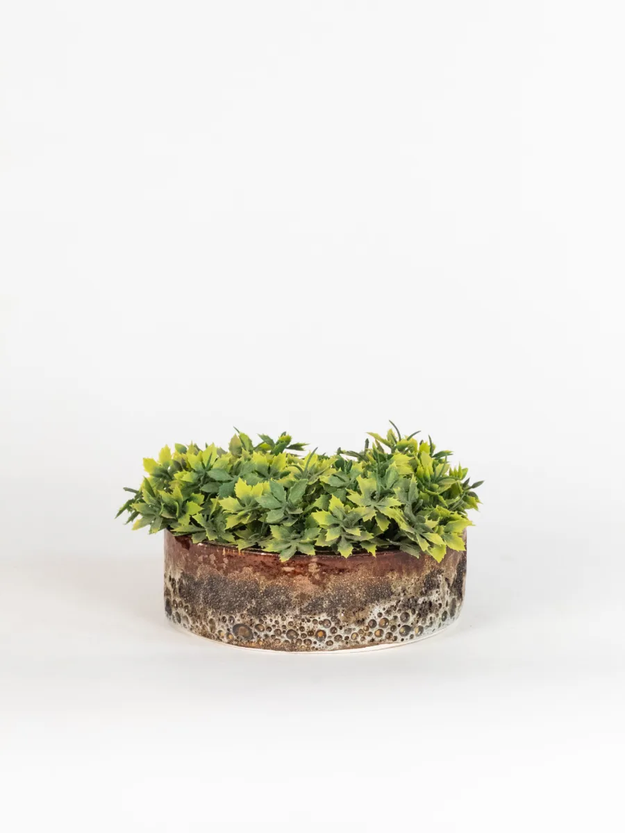 Classic Ceramic Planter — 11.5" Dia × 4.5" Height — Primary View