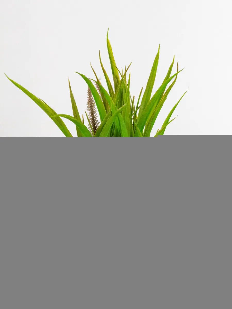 Classic Ceramic Planter — 3" Dia × 3" Height — Primary View