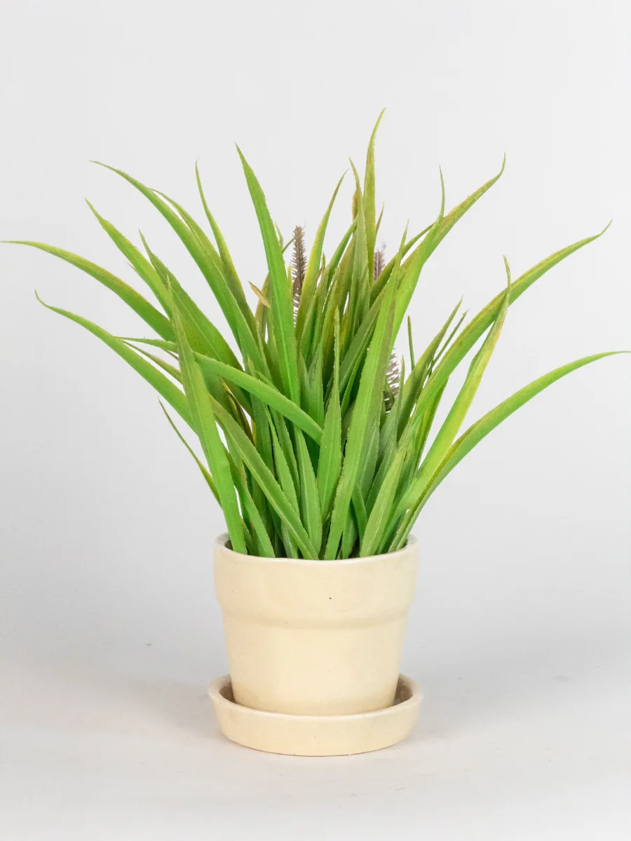 Classic Ceramic Planter — 3" Dia × 3" Height — Primary View