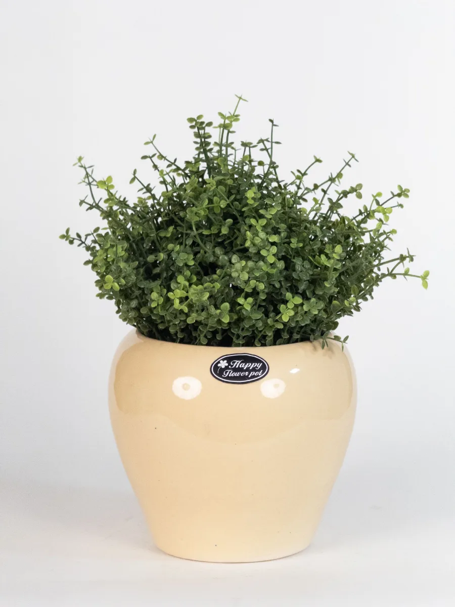 Classic Ceramic Planter — 3" Dia × 3" Height — Primary View