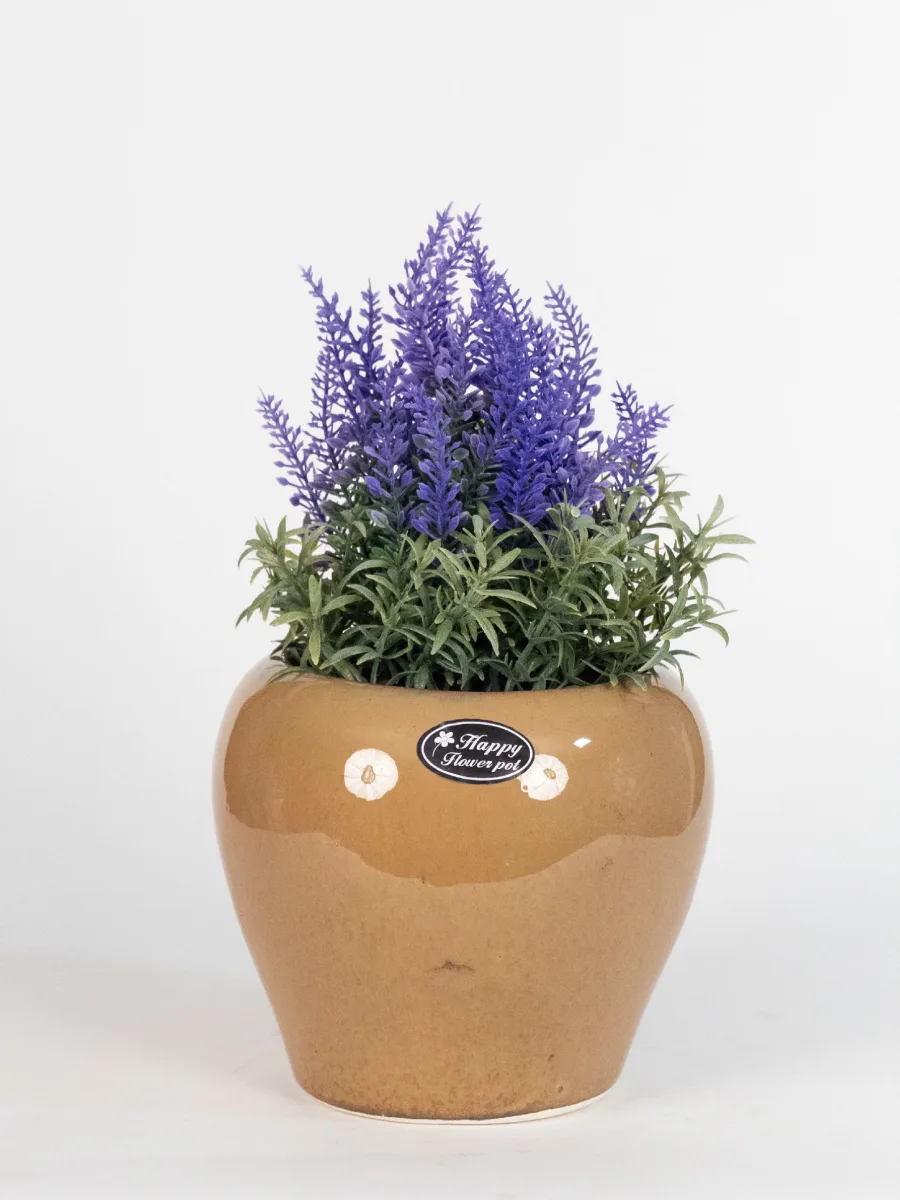 Classic Ceramic Planter — 3" Dia × 3" Height — Primary View