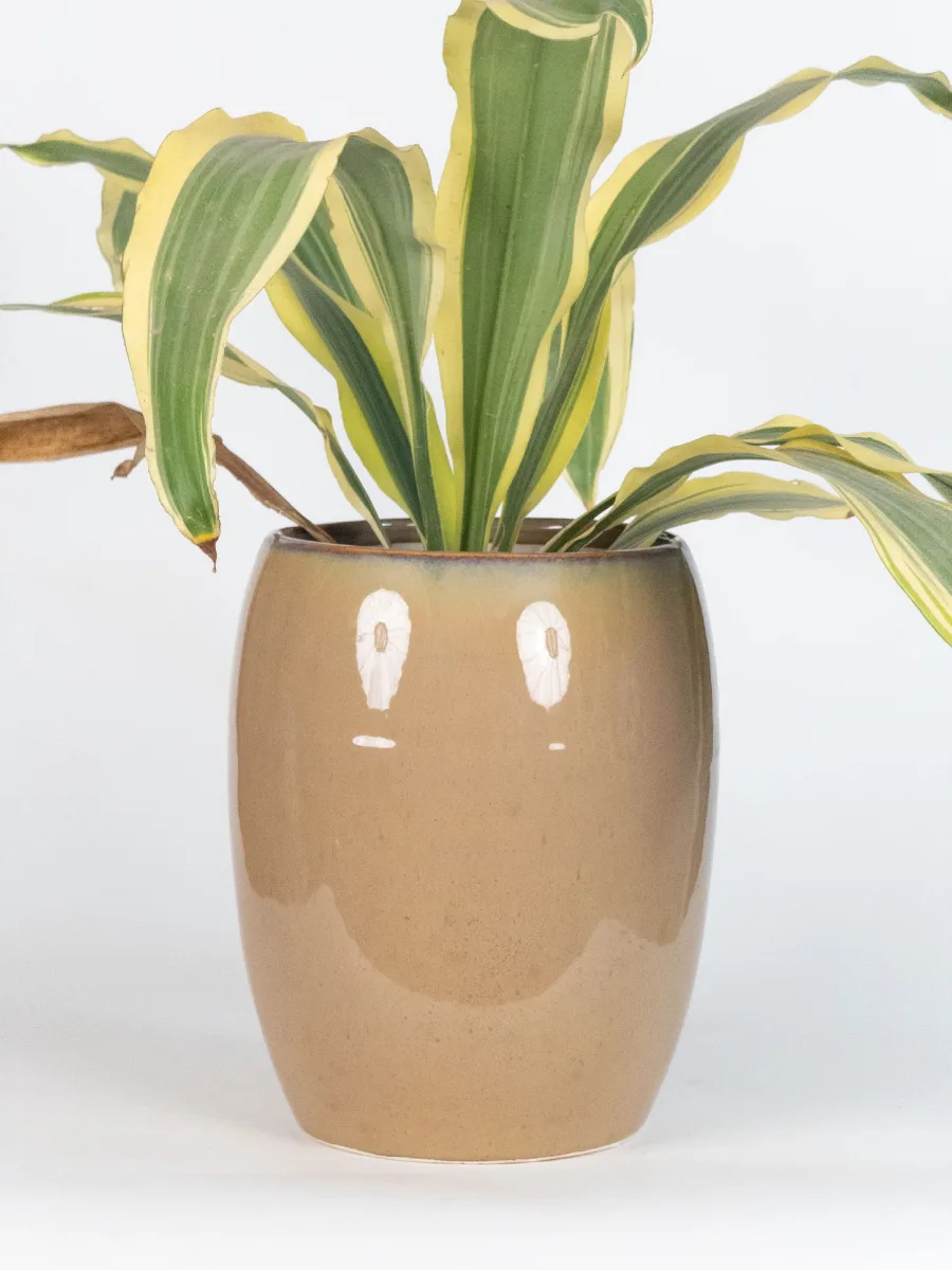 Classic Ceramic Planter — 3" Dia × 3" Height — Primary View