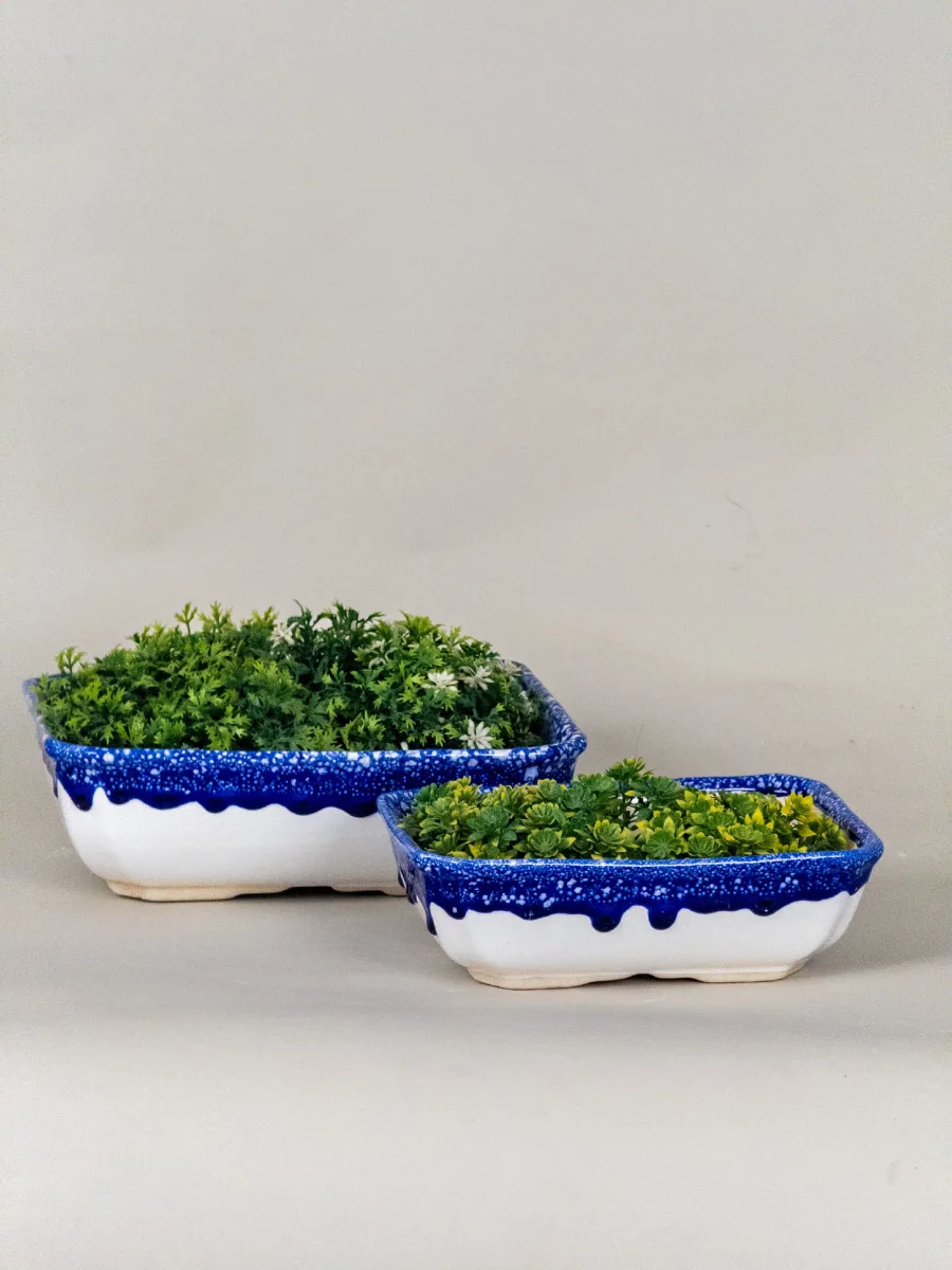 Classic Ceramic Planter — 5.5" Dia × 5" Height — Primary View