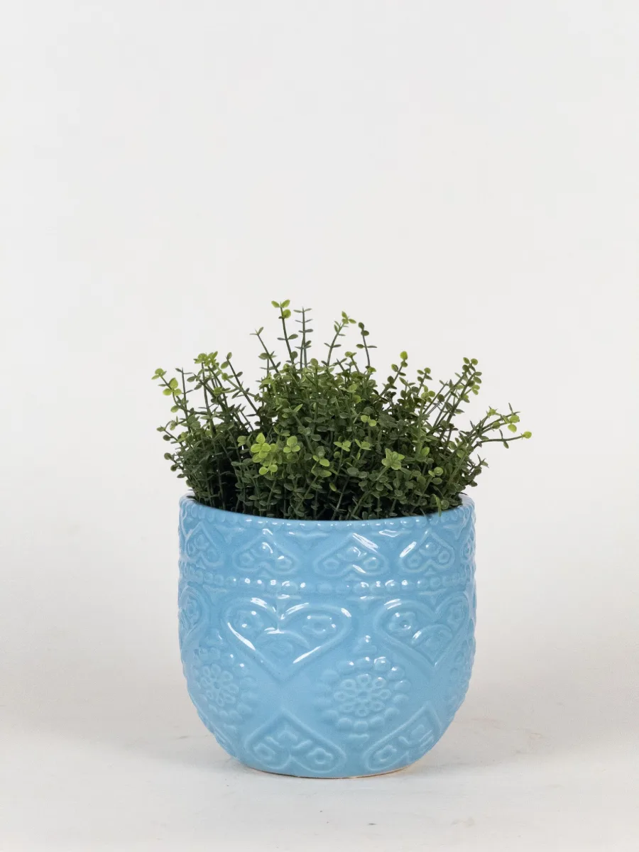 Classic Ceramic Planter — Primary View