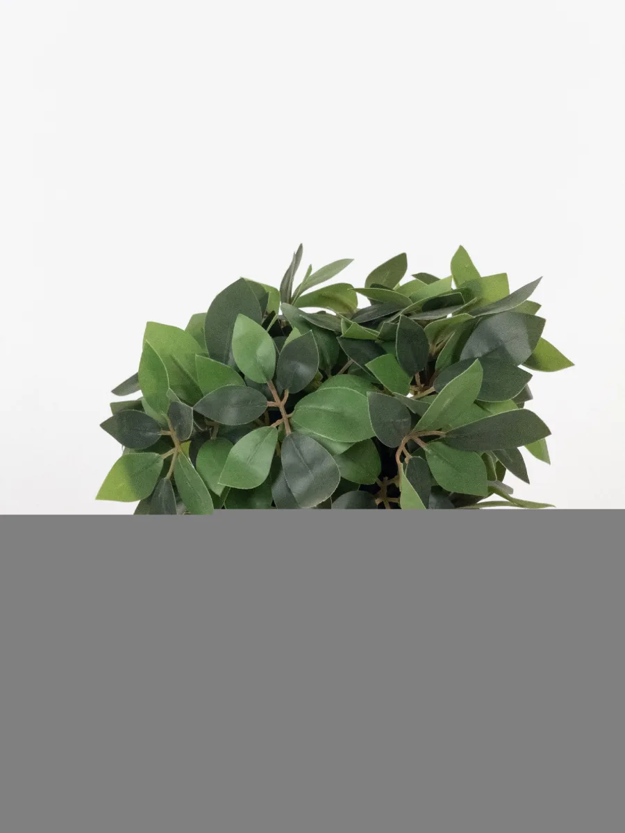 Classic Ceramic Planter — Primary View