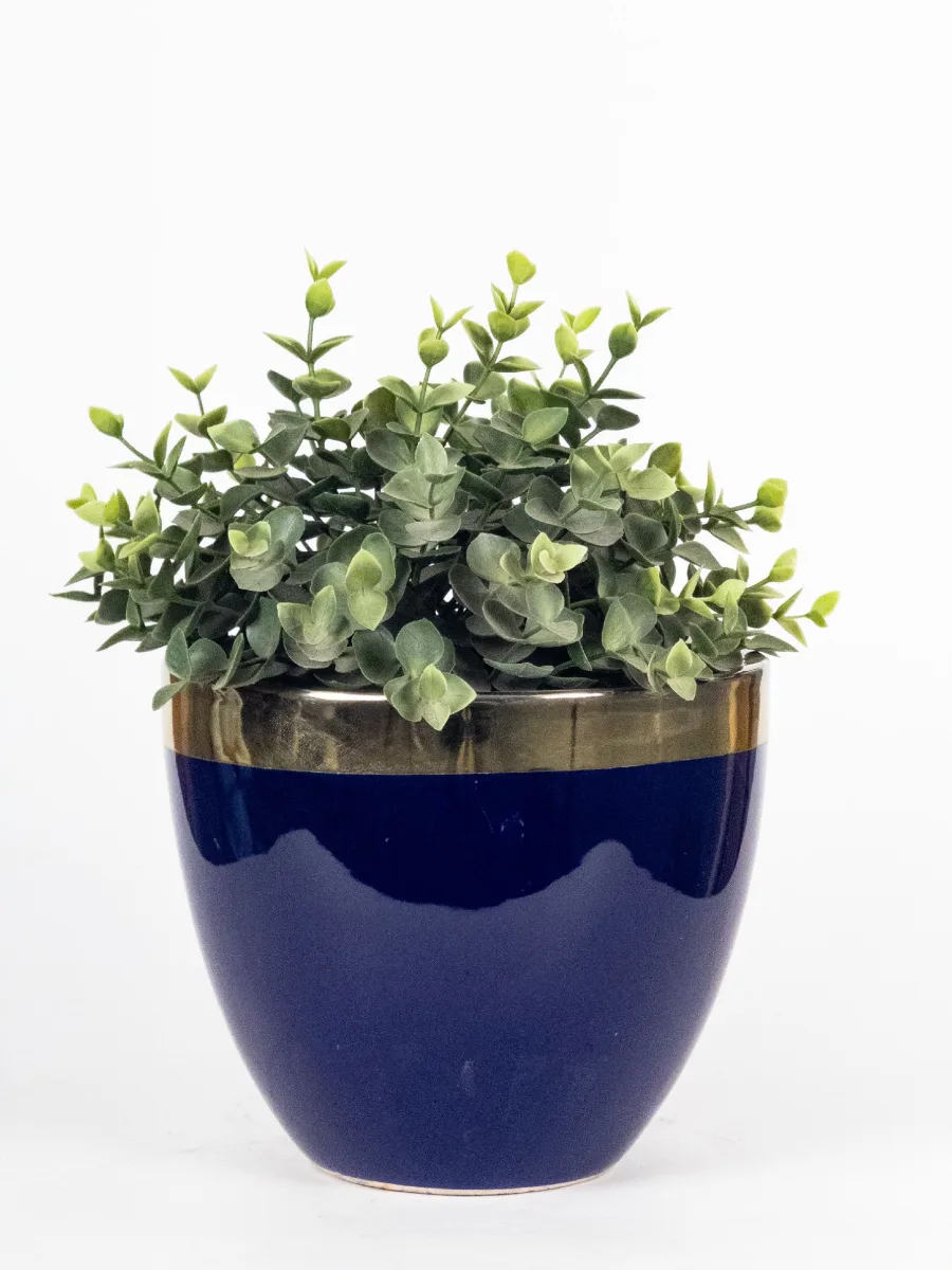 Classic Ceramic Planter — Primary View