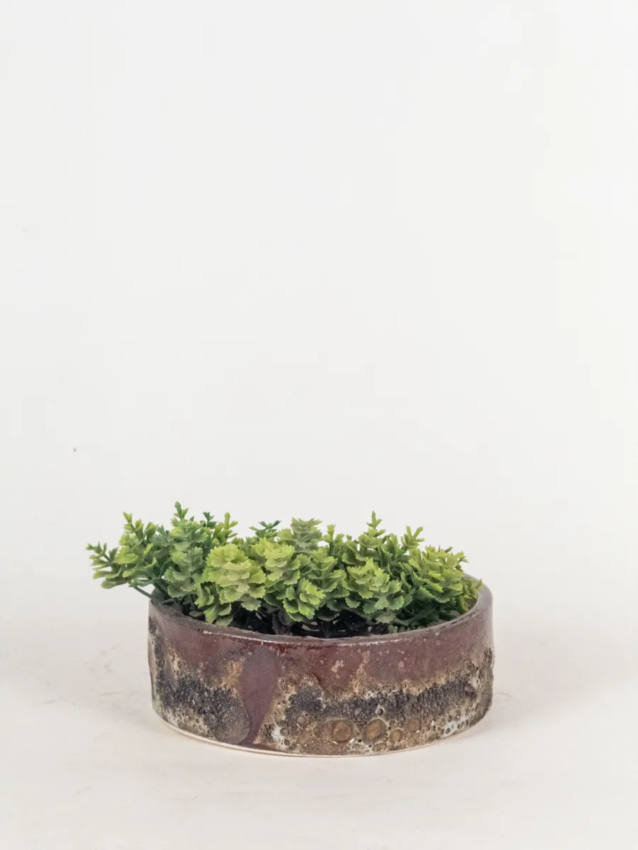 Classic Ceramic Planter — 6" Dia × 5.5" Height — Primary View