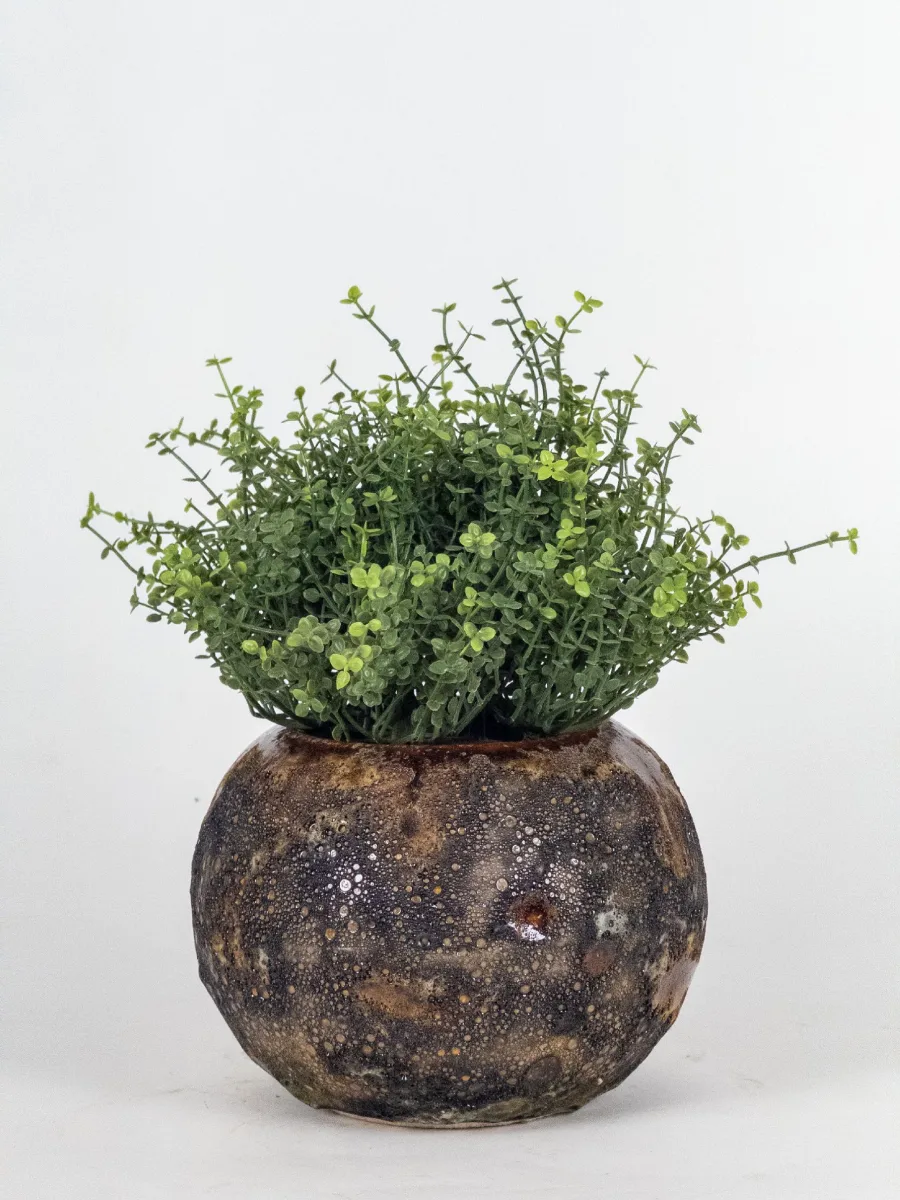 Classic Ceramic Planter — 6" Dia × 5.5" Height — Primary View