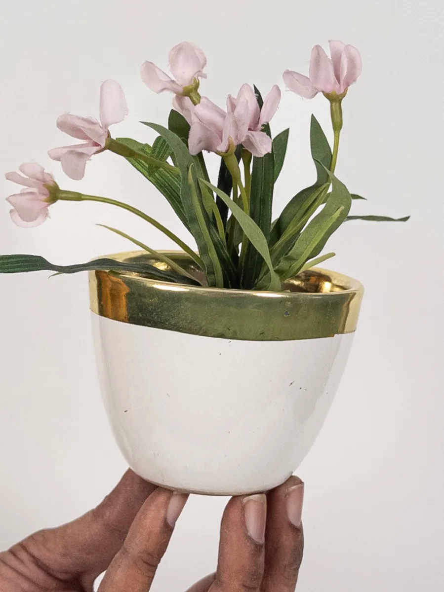 Classic Ceramic Planter — 5.5" Dia × 5.5" Height — Primary View