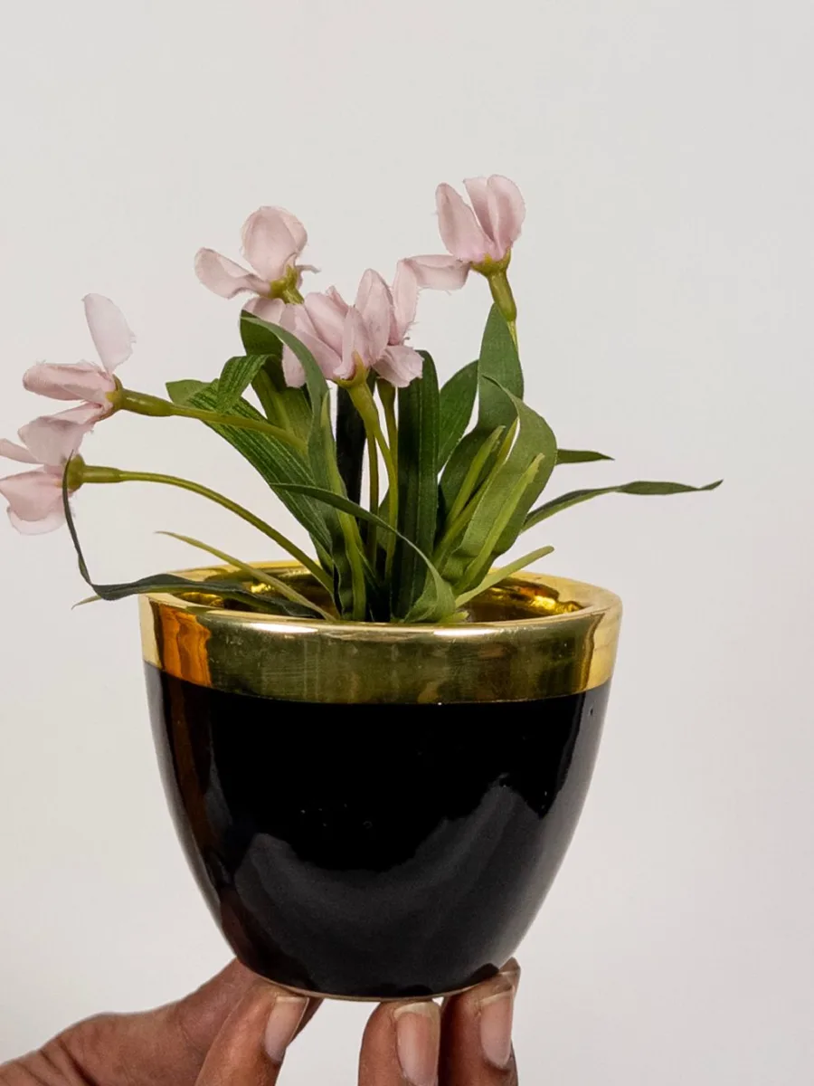 Classic Ceramic Planter — 5.5" Dia × 5.5" Height — Primary View