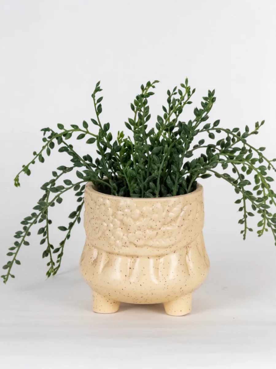 Classic Ceramic Planter — 8" Dia × 7" Height — Primary View