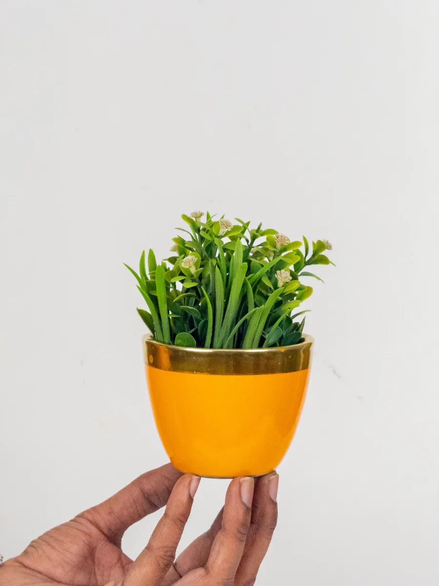 Classic Ceramic Planter — 5" Dia × 4" Height — Primary View