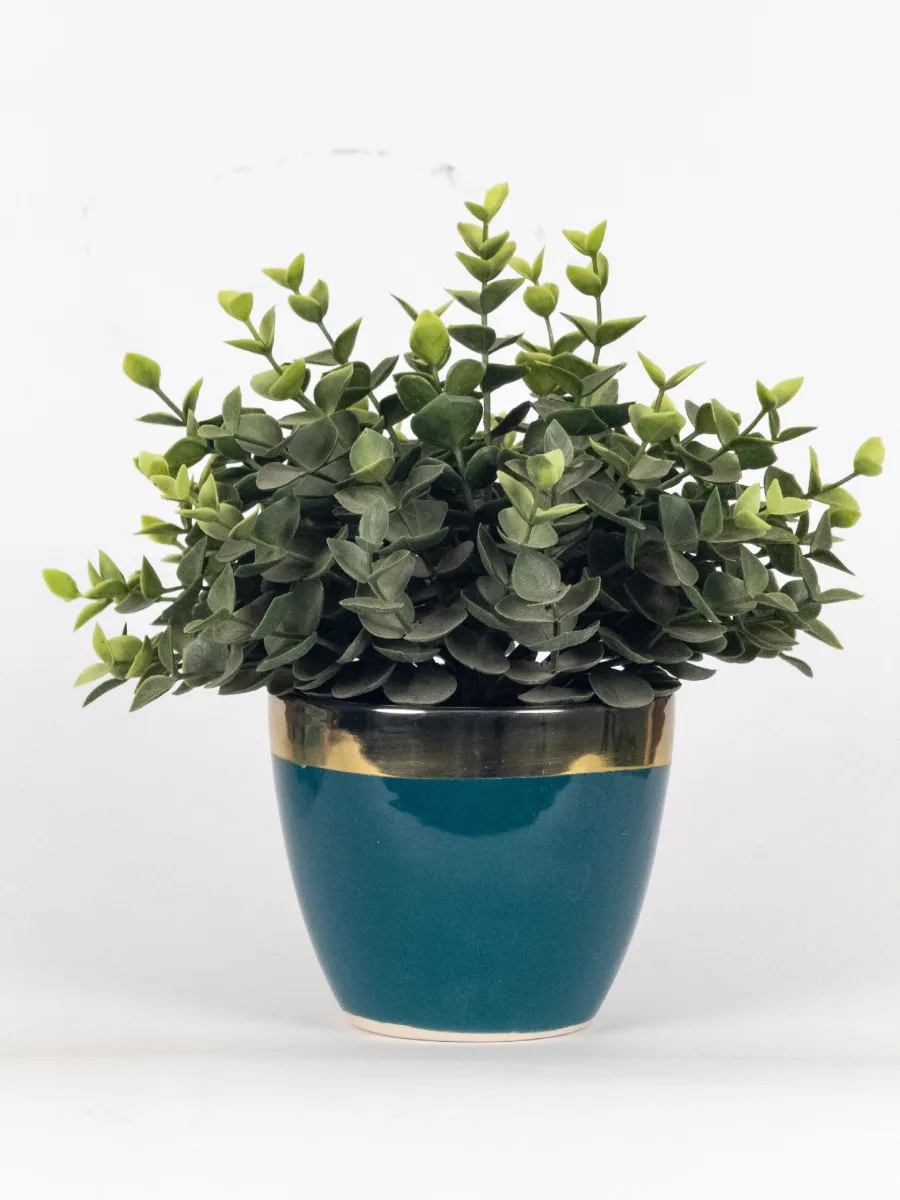 Classic Ceramic Planter — 5" Dia × 4" Height — Primary View