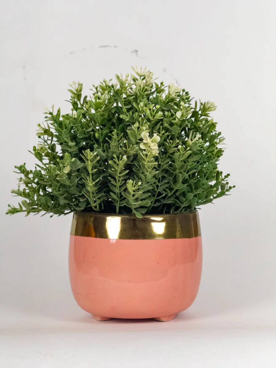 Classic Ceramic Planter — 5.5" Dia × 4.5" Height — Primary View