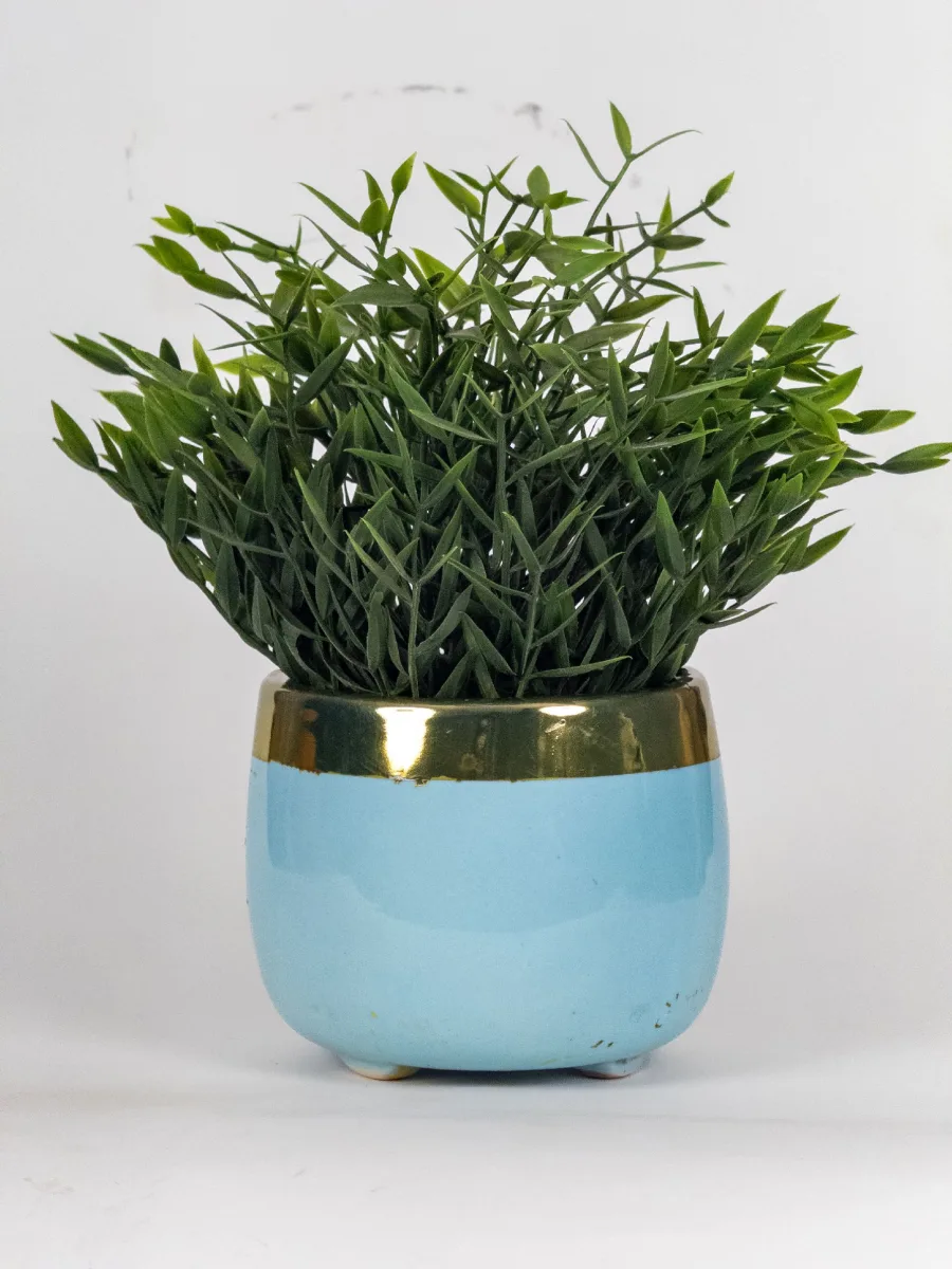 Classic Ceramic Planter — 5" Dia × 4" Height — Primary View