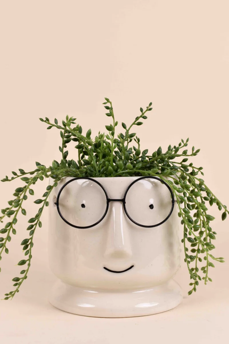 Classic Ceramic Planter — 5" Dia × 4" Height — Primary View