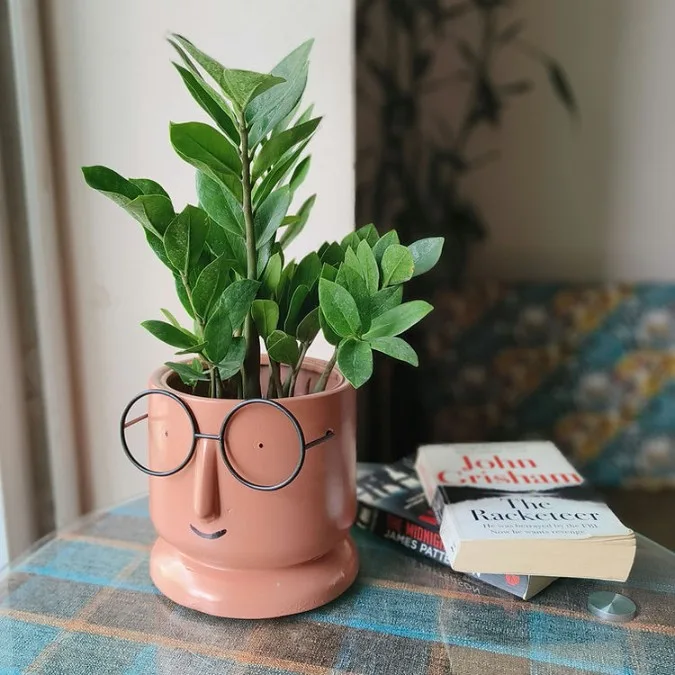 Classic Ceramic Planter — 6" Dia × 5.5" Height — Primary View