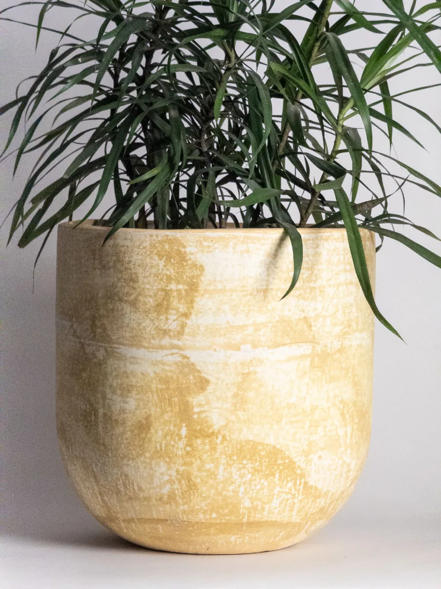 Classic Ceramic Planter — 6" Dia × 5.5" Height — Primary View