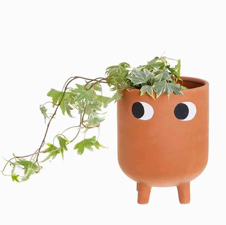 Classic Ceramic Planter — 4" Dia × 4.5" Height — Primary View