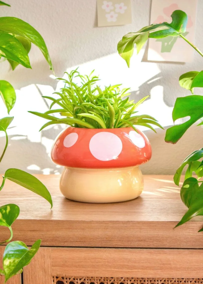 Classic Ceramic Planter — 6" Dia × 10.5" Height — Large — Primary View