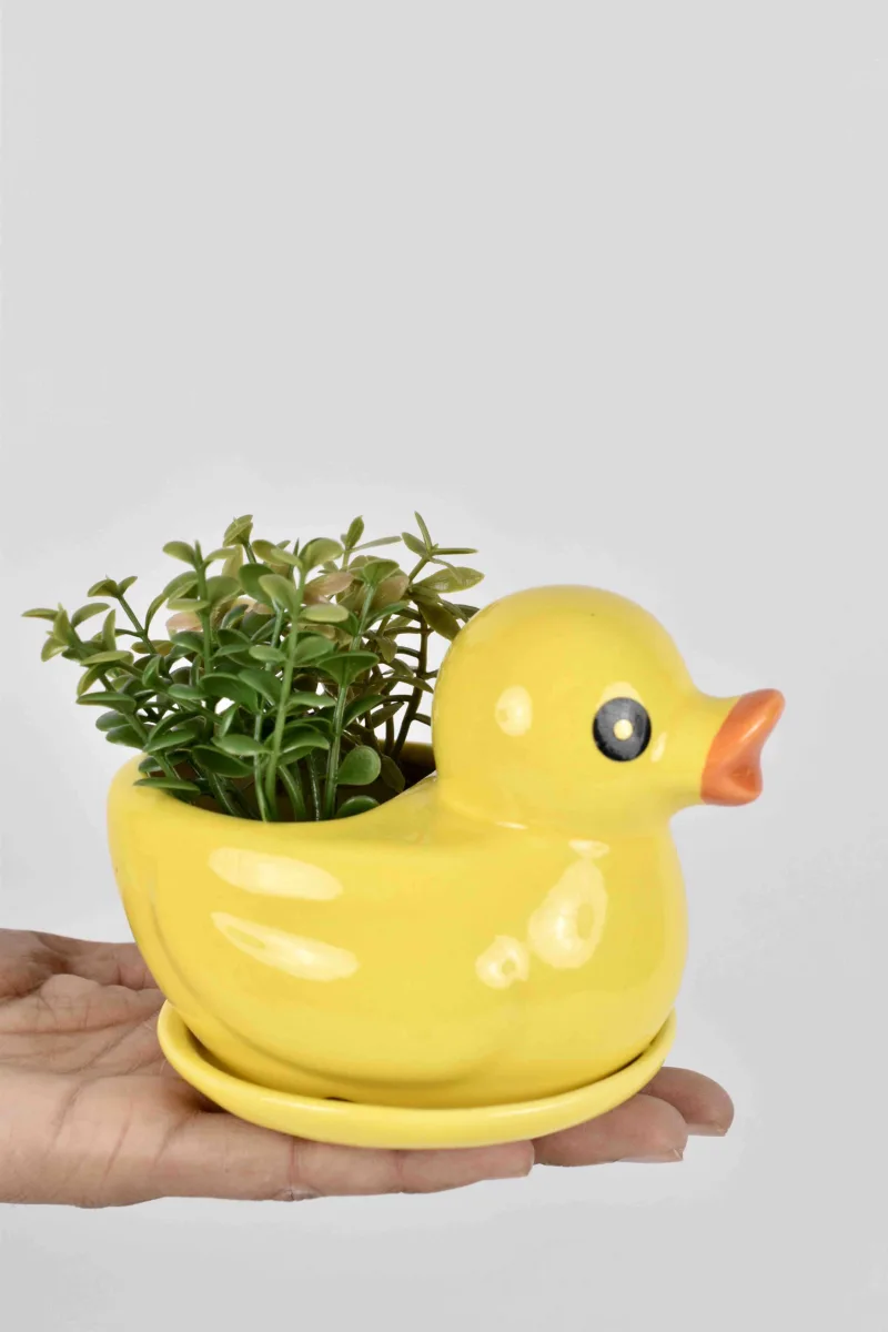 Classic Ceramic Planter — 6.5" Dia × 5.5" Height — Primary View