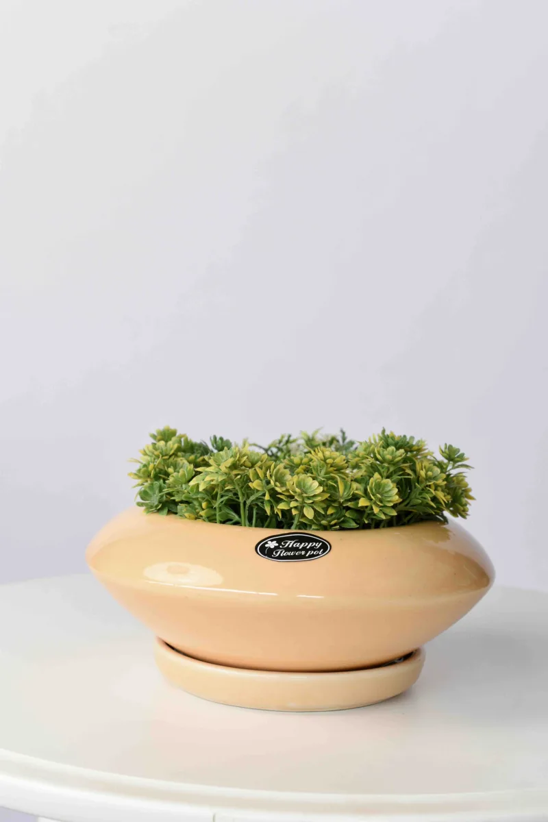 Classic Ceramic Planter — 6.5" Dia × 5.5" Height — Primary View
