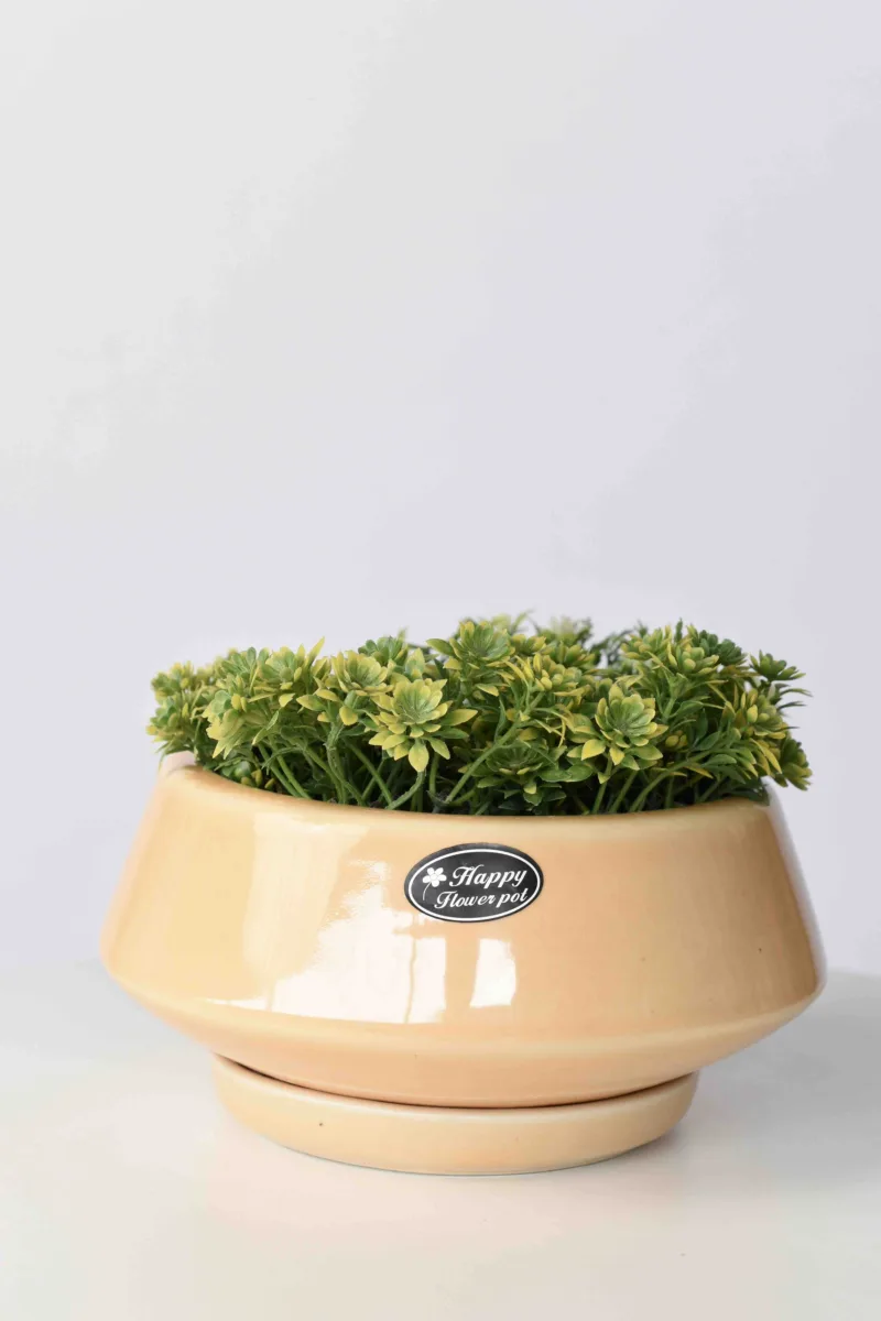 Classic Ceramic Planter — 12" Dia × 3.5" Height — Primary View