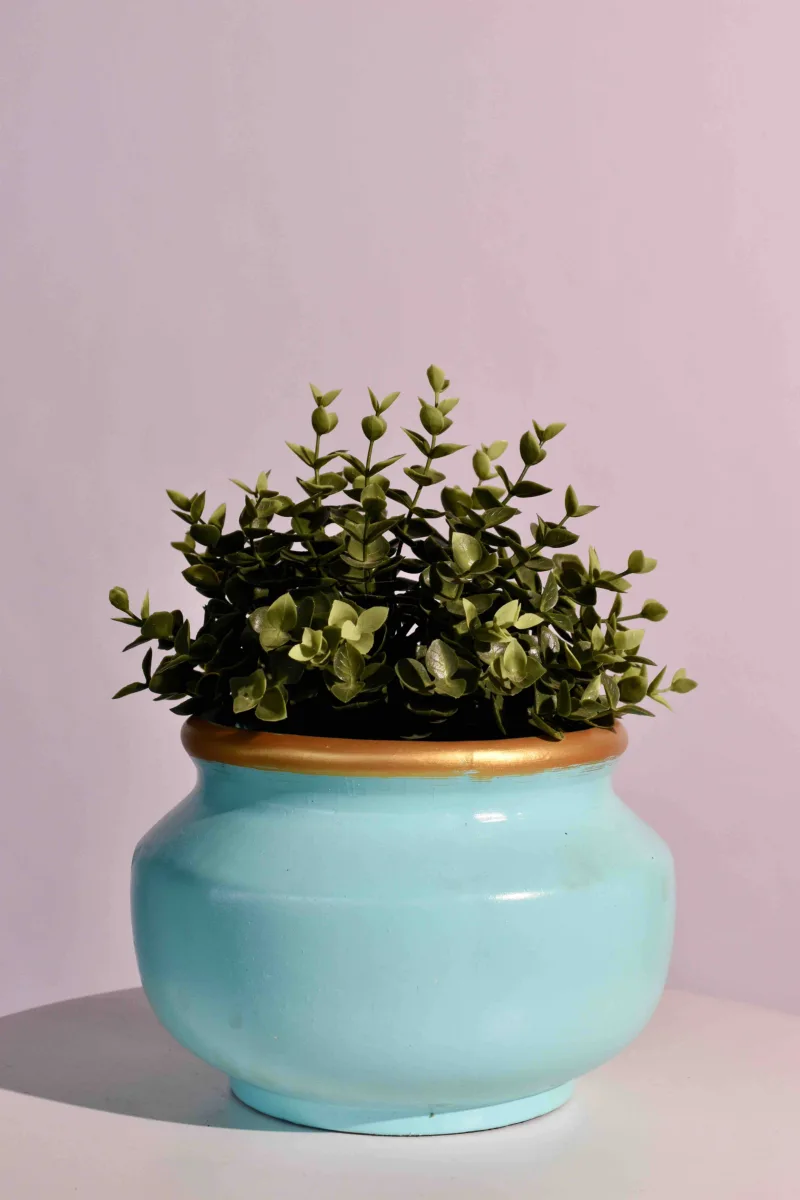 Classic Ceramic Planter — 8" Dia × 3.5" Height — Primary View