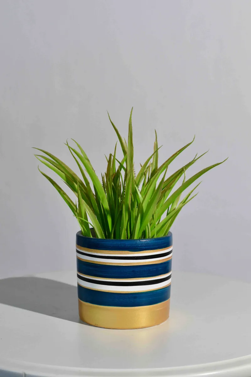 Classic Ceramic Planter — 5" Dia × 6.5" Height — Primary View
