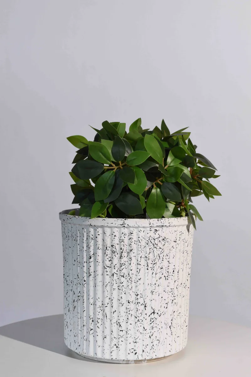 Classic Ceramic Planter — 5.5" Dia × 5.5" Height — Primary View