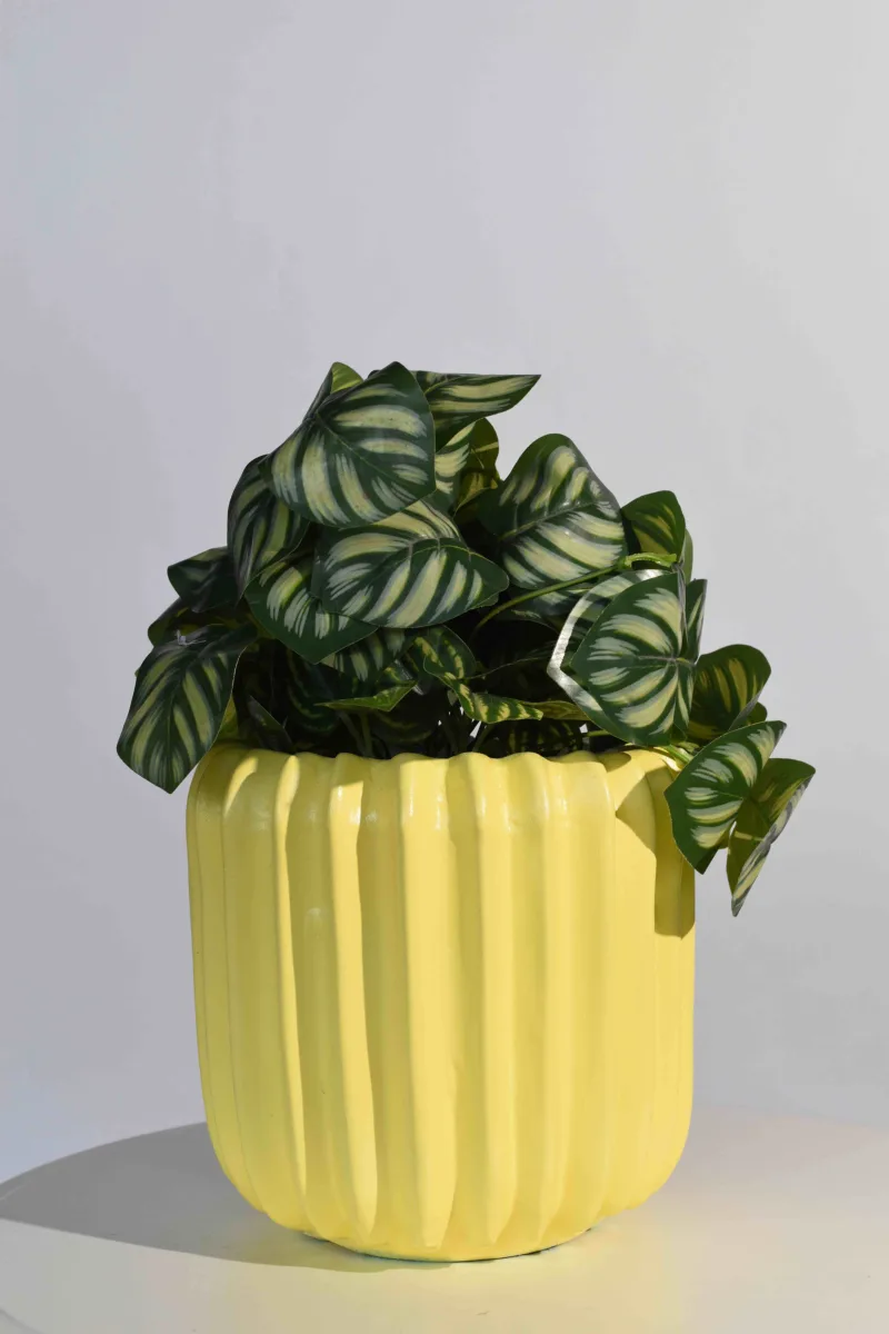 Classic Ceramic Planter — 5.5" Dia × 5.5" Height — Primary View