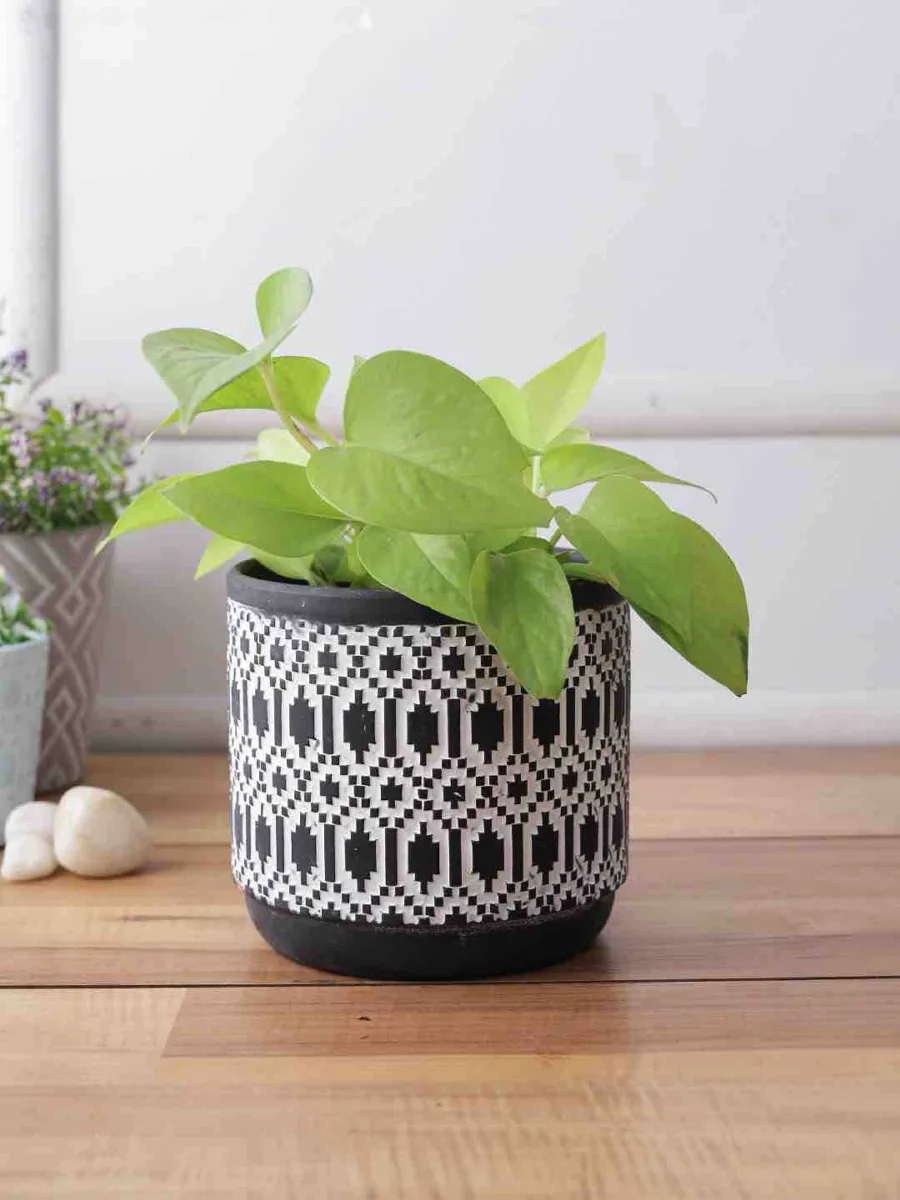 Classic Ceramic Planter — 8" Dia × 8" Height — Primary View
