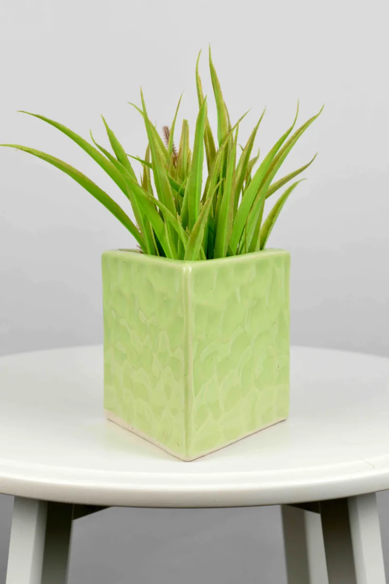 Classic Ceramic Planter — 8" Dia × 8" Height — Primary View