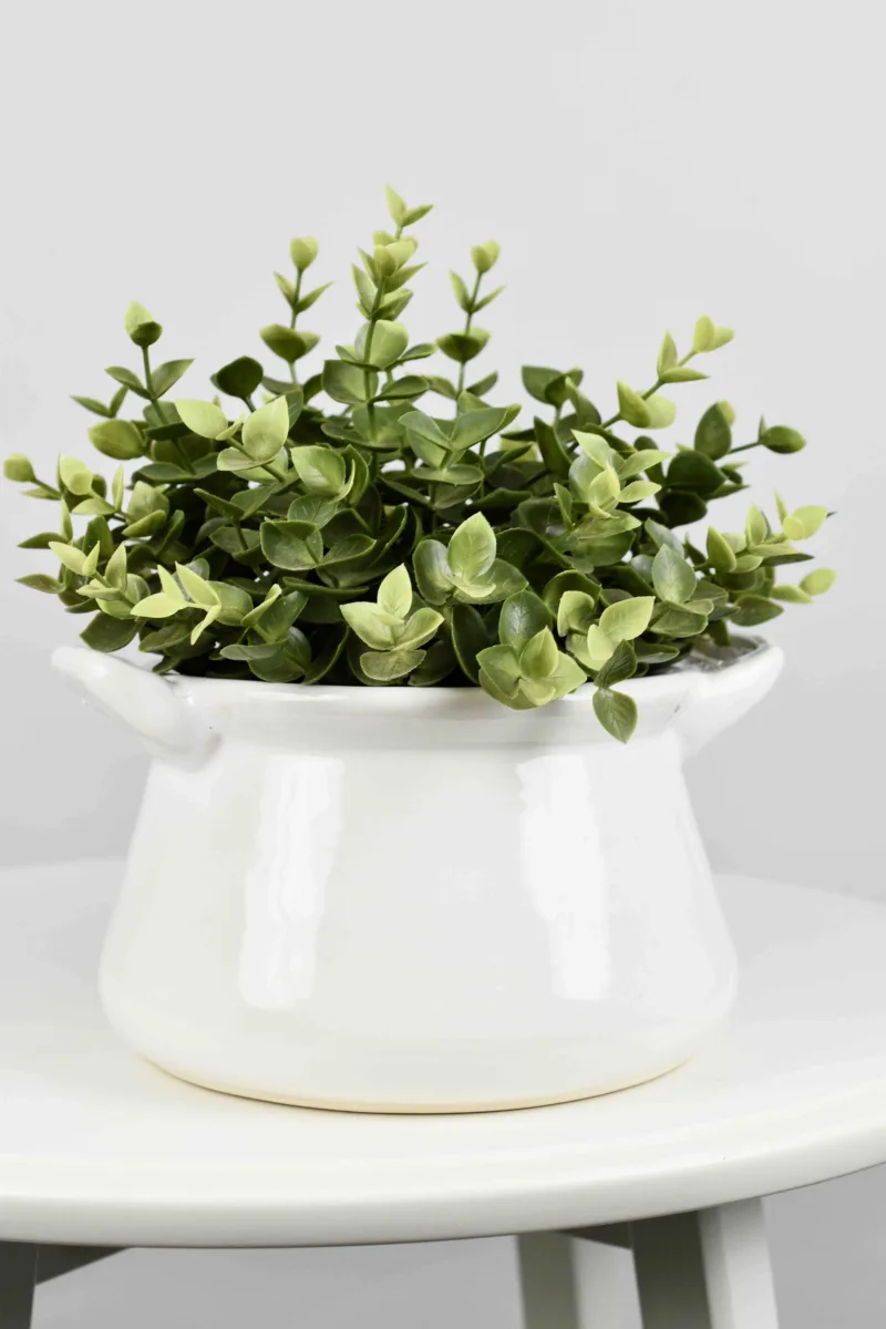 Classic Ceramic Planter — 8" Dia × 8" Height — Primary View