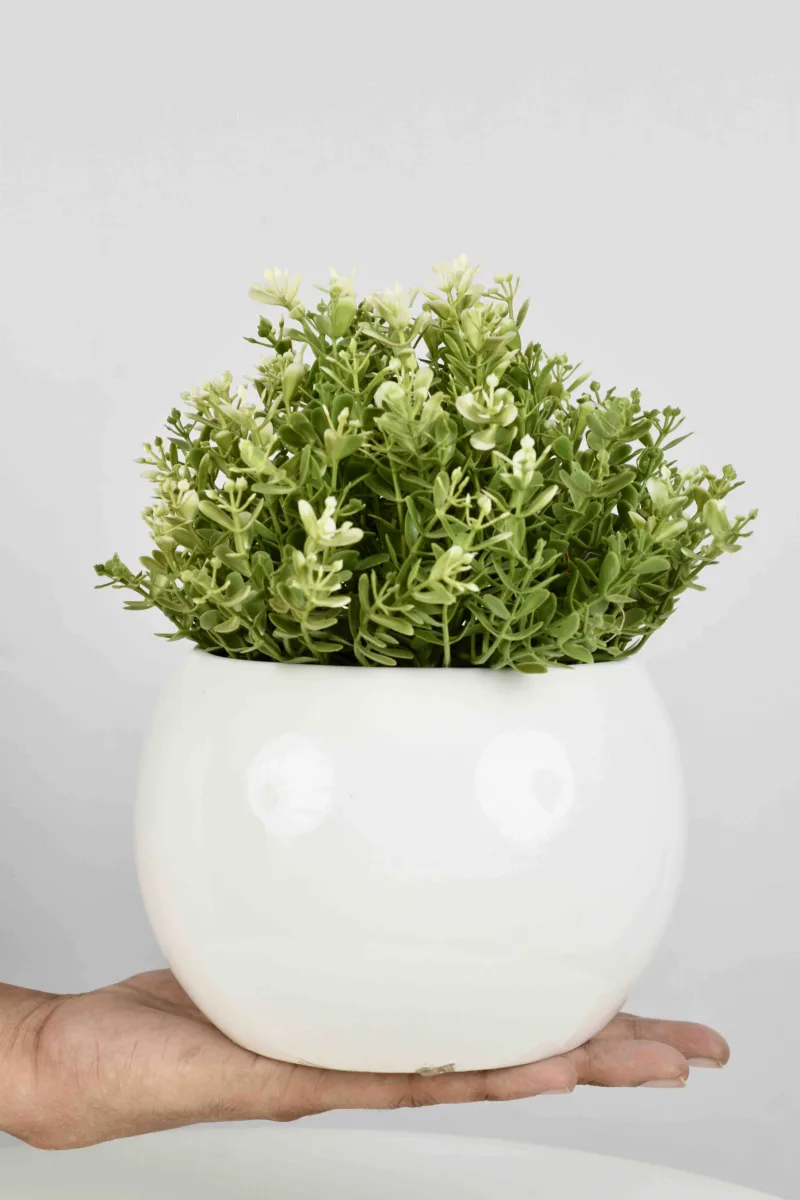 Classic Ceramic Planter — 8" Dia × 8" Height — Primary View