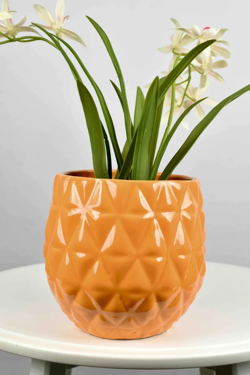 Classic Ceramic Planter — Primary View