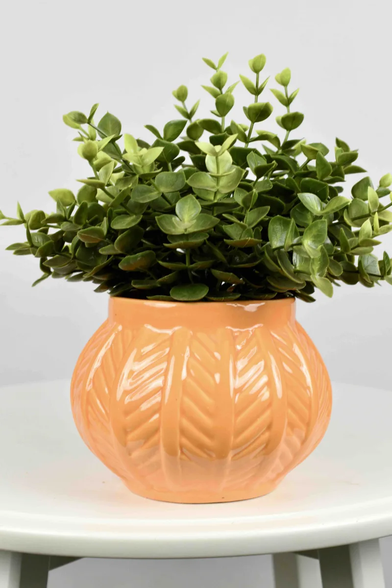Classic Ceramic Planter — 4.5" Dia × 5" Height — Primary View