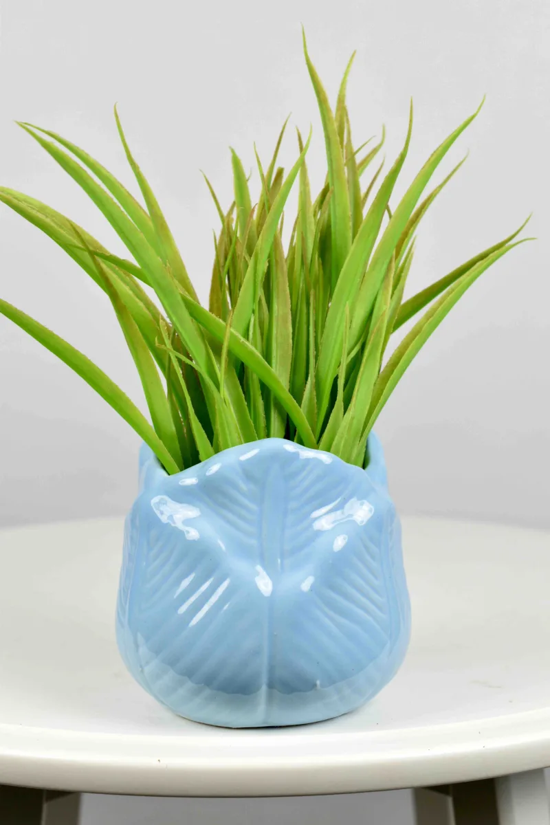 Classic Ceramic Planter — 7" Dia × 5.5" Height — Primary View