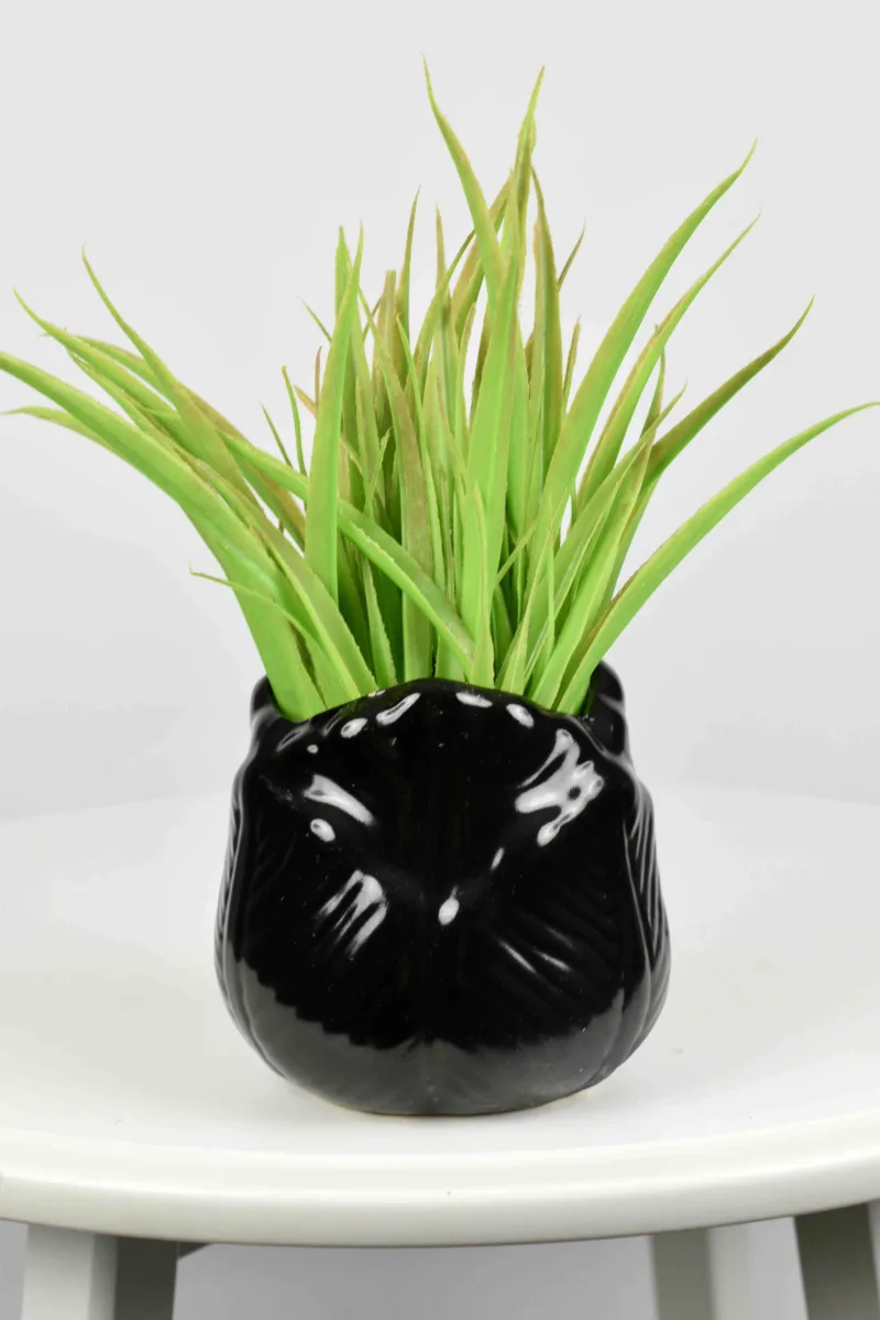 Classic Ceramic Planter — 6" Dia × 5" Height — Primary View