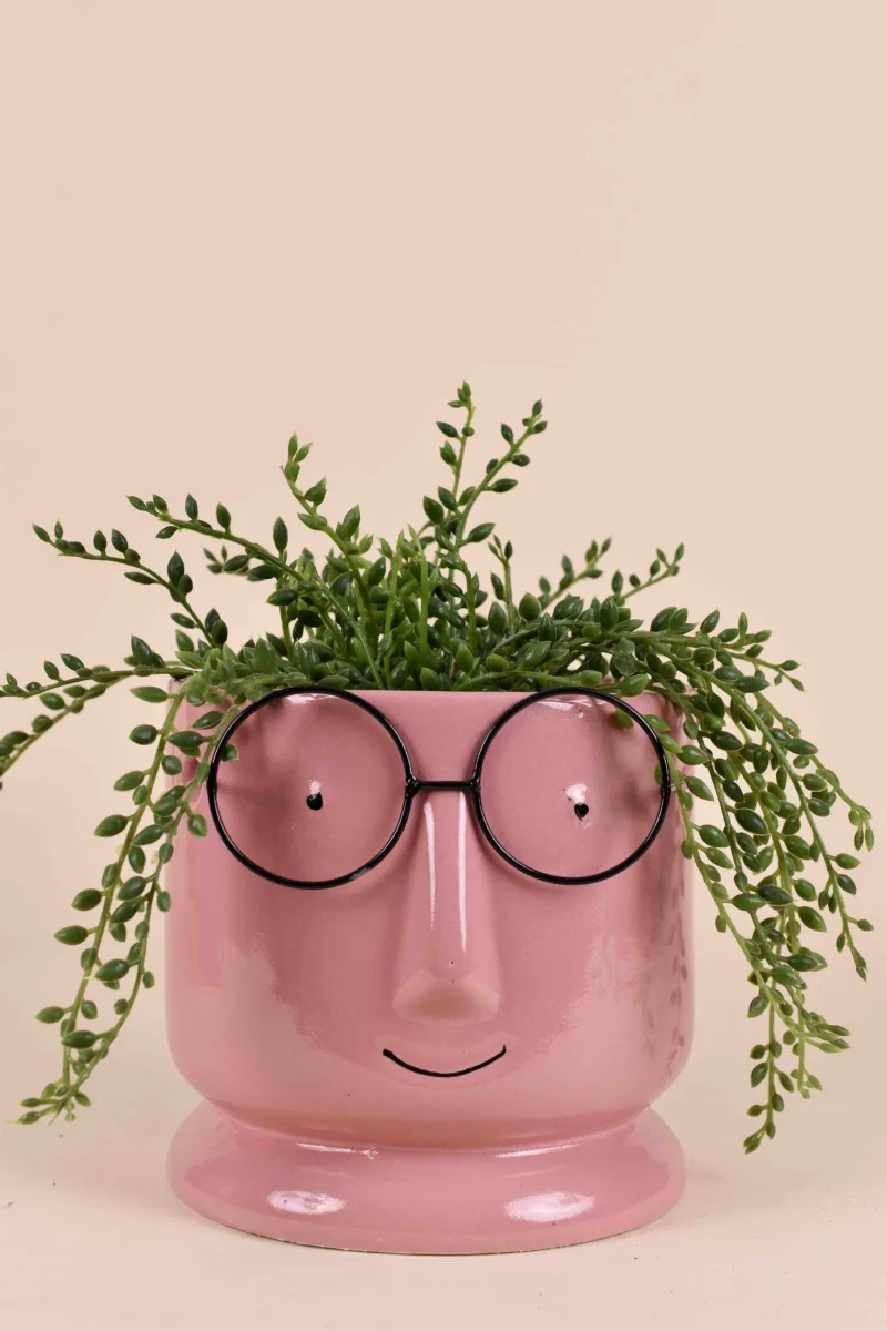 Classic Ceramic Planter — 6" Dia × 5" Height — Primary View
