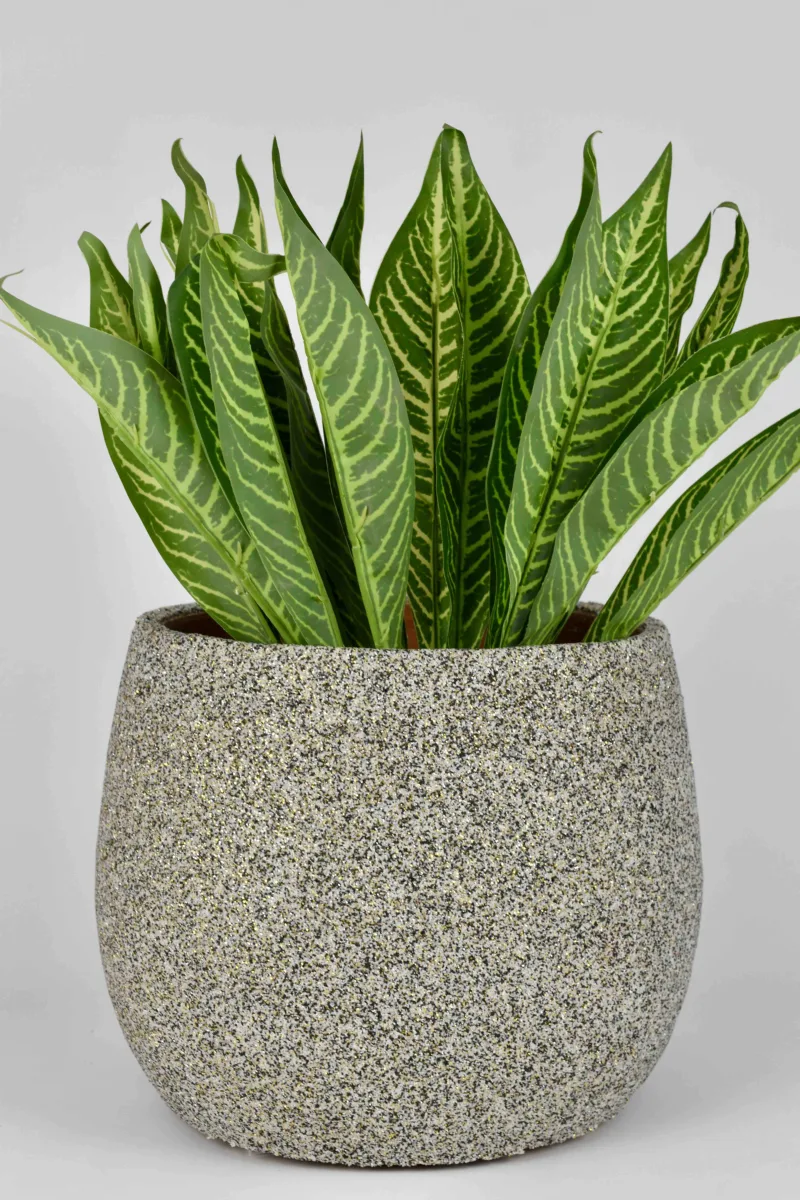 Classic Ceramic Planter — 6" Dia × 5" Height — Primary View