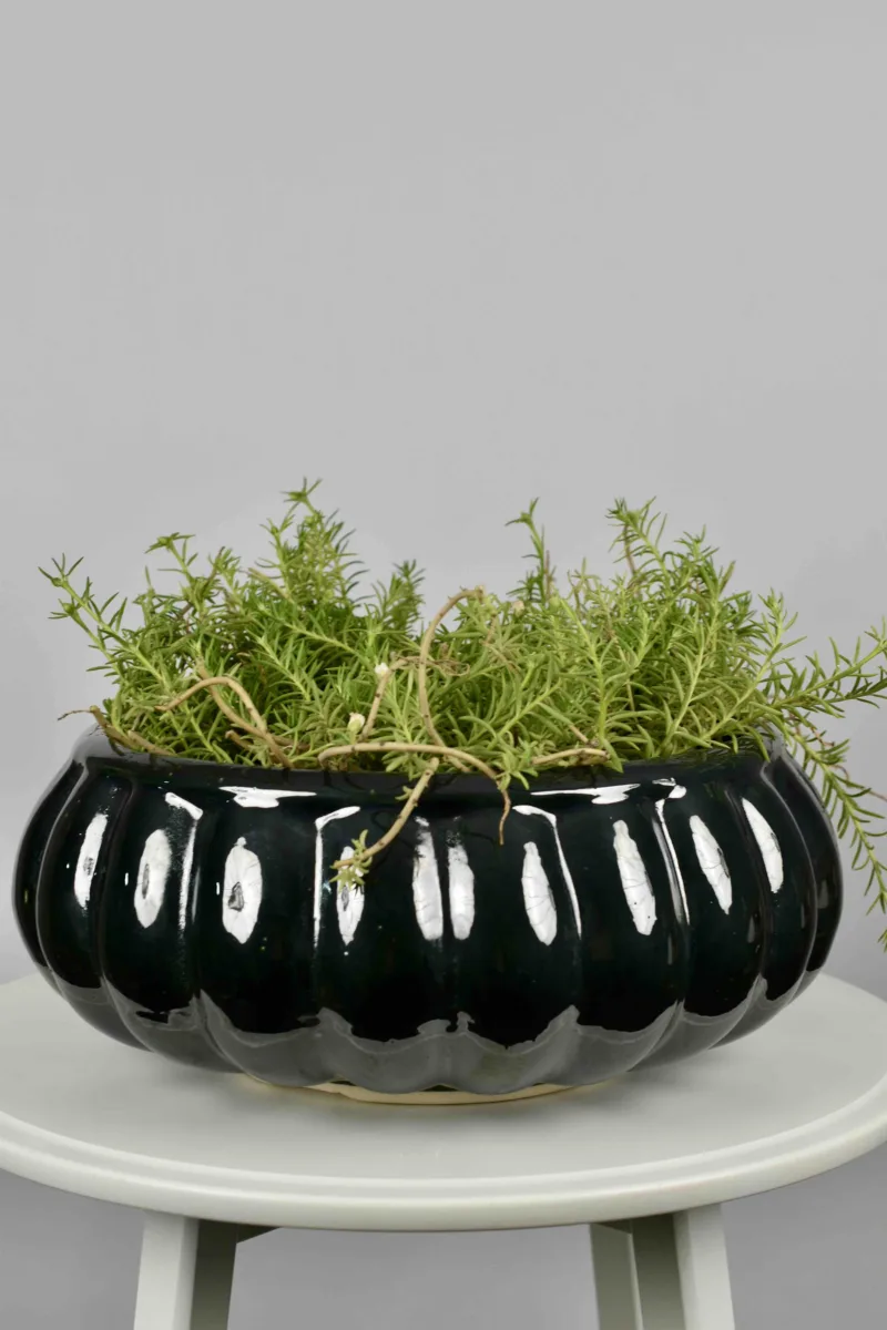 Classic Ceramic Planter — 12.5" Dia × 9.5" Height — Primary View
