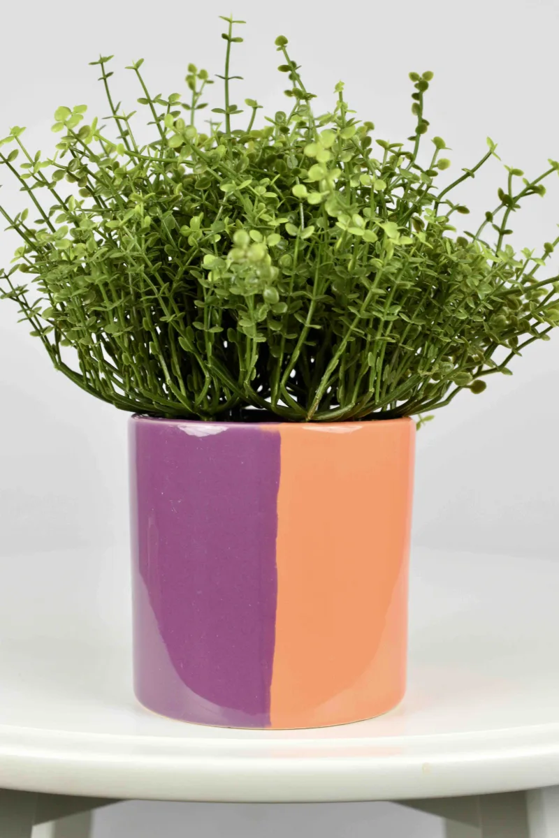 Classic Ceramic Planter — 9" Dia × 8" Height — Primary View