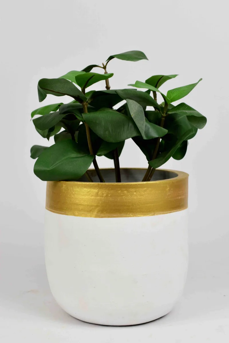 Classic Ceramic Planter — 8" Dia × 8" Height — Primary View
